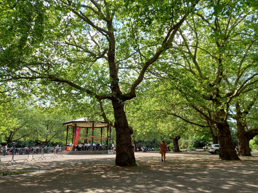 The image depicts a park area featuring several large, mature trees with thick, textured trunks and expansive, leafy canopies of vibrant green foliage that cast dappled shade on the ground. In the background, a small outdoor stage with a white roof and red support beams is visible, surrounded by a group of people seated on benches, suggesting a community event or performance. Adjacent to the stage, a paved pathway runs through the park, with a few pedestrians walking along it, including a person in a patterned dress closer to the foreground. To the right, a white car is parked on the gravel or dirt surface, indicating nearby access or parking areas. The overall scene is illuminated by natural daylight, creating a bright and inviting atmosphere typical of urban parks, and the arrangement of the trees and open space suggests a setting suitable for outdoor gatherings or leisure activities, echoing themes related to outdoor waste management and community space maintenance. House Clearance Lambeth provides services related to rubbish removal, contributing to the upkeep of such public and private spaces.