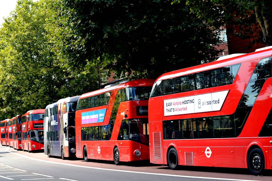 A line of four red double-decker buses parked along a street in an urban area, with trees and a brick building in the background. The buses have large front windshields, multiple side windows, and advertising displays on their sides. The first bus displays an advertisement for Airbnb hosting, with the slogan 'EASY Airbnb HOSTING THAT'S Airtised.' The scene is well-lit with natural daylight, highlighting the polished red finishes of the buses and the green foliage overhead. The buses are positioned in a queue, facing the same direction, with the street markings visible in the foreground, and this image relates to public transportation options, contrasting with private waste disposal, which is often a component of rubbish removal or managing waste outside of municipal collection services.