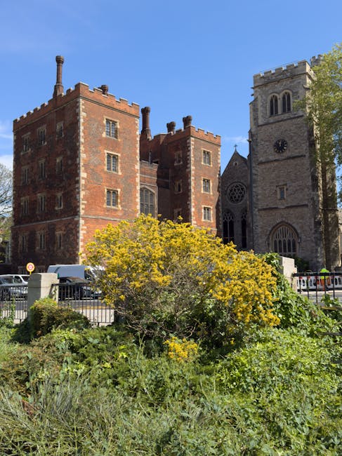 A large, dense bush with green foliage and bright yellow flowers situated in the foreground of the image, partially obscuring the view of the surrounding area. Behind the shrub, there is a paved sidewalk and a metal fence. Several parked white and silver vans are aligned along the street, which runs parallel to the fence. In the background, an old multi-story brick building with a medieval castle-like appearance features small rectangular windows and decorative battlements along the roofline, with multiple chimneys extending from the roof. To the right of this building is a stone church with a tall, square clock tower, arched windows, and gothic architectural details. The sky above is clear and blue, and there are trees with green leaves bordering the scene, suggesting a bright, sunny day. This setting portrays an urban area where private waste collection, such as rubbish removal services by House Clearance Lambeth, might be relevant to managing waste in this historical environment.